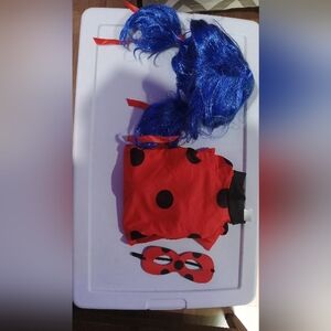 Miraculous Lady Bug Costume